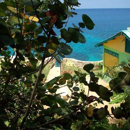 Banana Shout Resort 内格里尔 外观 照片