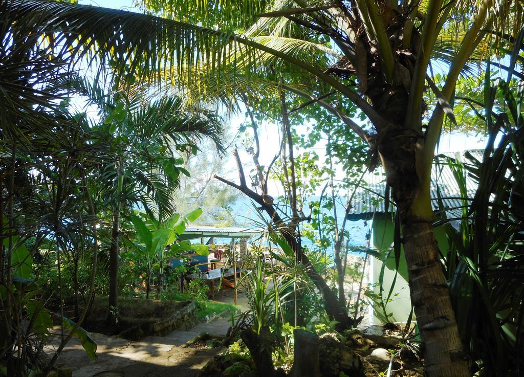 Banana Shout Resort 内格里尔 外观 照片